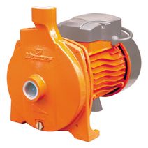 Bomba Centrífuga Lüsqtoff CPM158 1HP 750W 50Hz 220V
