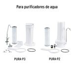 CARPUR-P2+D2