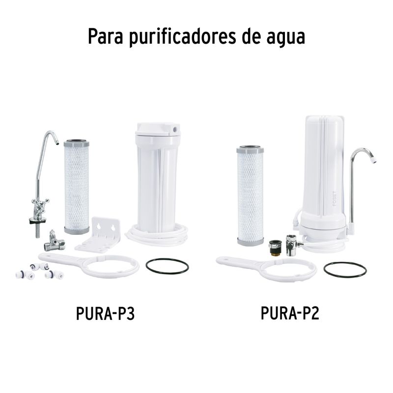CARPUR-P2+D2